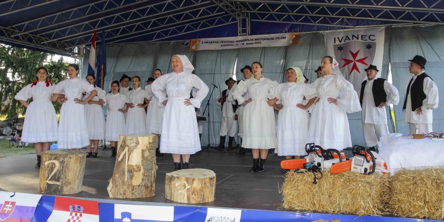 kiparenje pilom15-180617.jpg