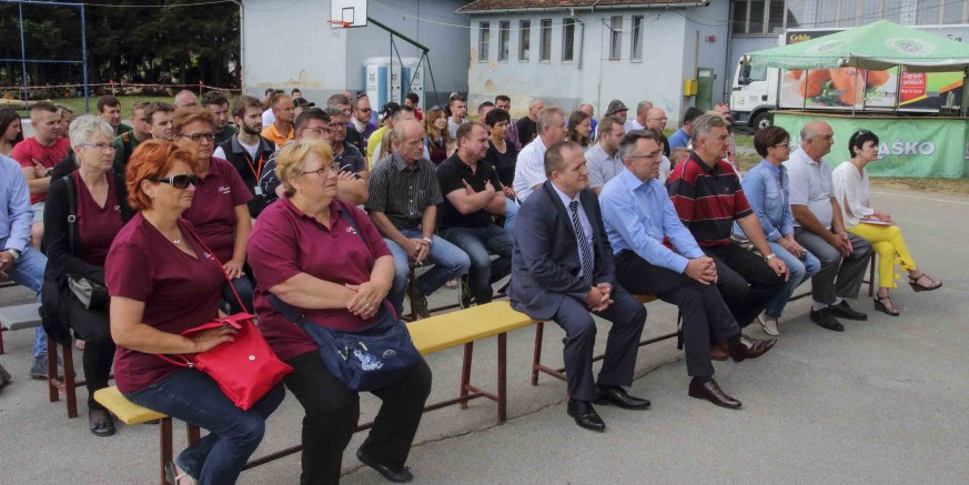kiparenje pilom-salinovec-170617.jpg