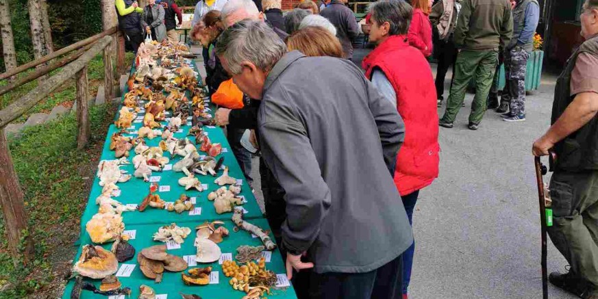 GLJIVARSKO DRUŠTVO IVANEC 150 gljivara iz Hrvatske i Slovenije na 7. međunarodnoj gljivarijadi