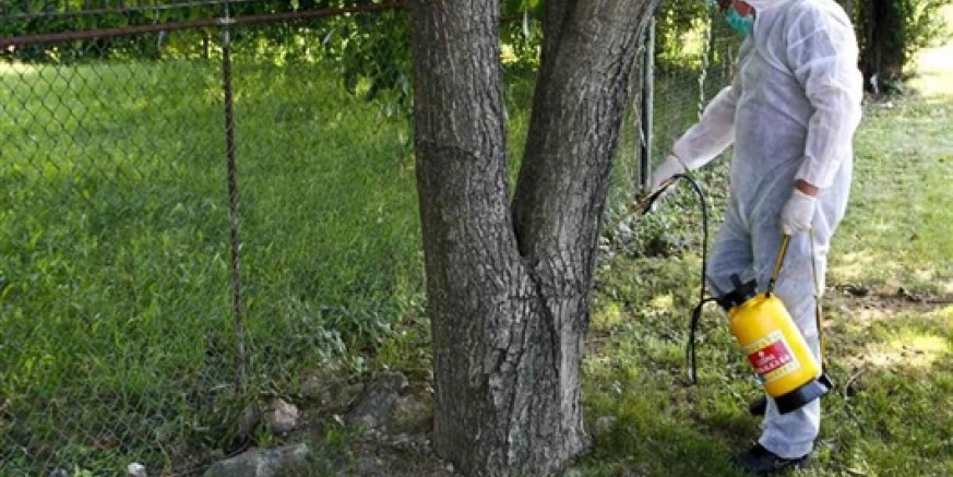 Obavijest županijskog Zavoda za javno zdravstvo o provedbi postupka sustavne deratizacije u naseljima na području grada Ivanca