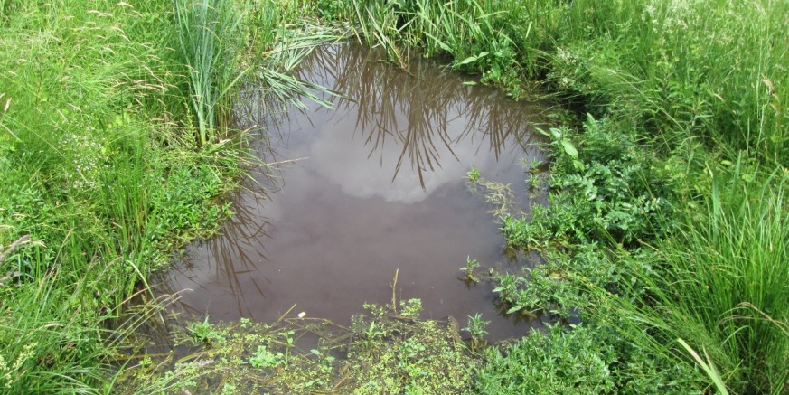 Kanal prema Omladinskom bajeru onečišćen tamnocrvenom bojom, Grad pozvao državne inspekcije