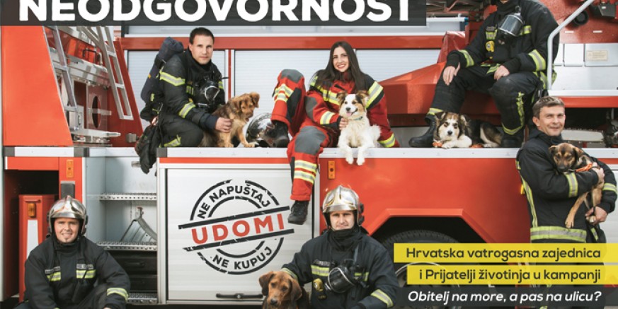 Grad Ivanec pridružuje se kampanji Prijatelja životinja „Obitelj na more, pas na ulicu?!“