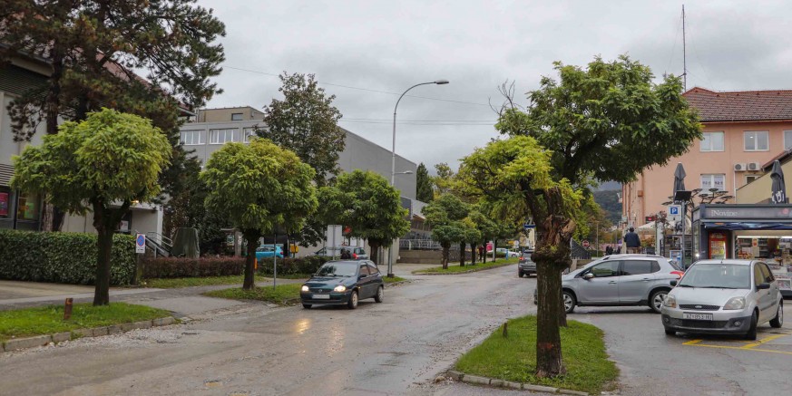 NAZOROVA ULICA Počinje uklanjanje starog i oštećenog drvoreda, zamijenit će ga novi drvored s 200 mladih stabala