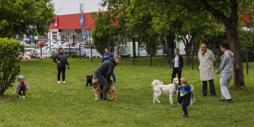 PESEK PARK Ivanečki peseki već dobro znaju za mjesto na kome ih čeka „čvenk“ s drugim njuškicama