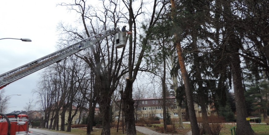 DSCN3955.JPG