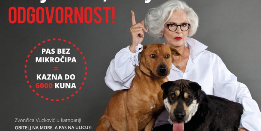 Grad Ivanec i ove se godine pridružuje kampanji Prijatelja životinja „Obitelj na more, a pas na ulicu?!“
