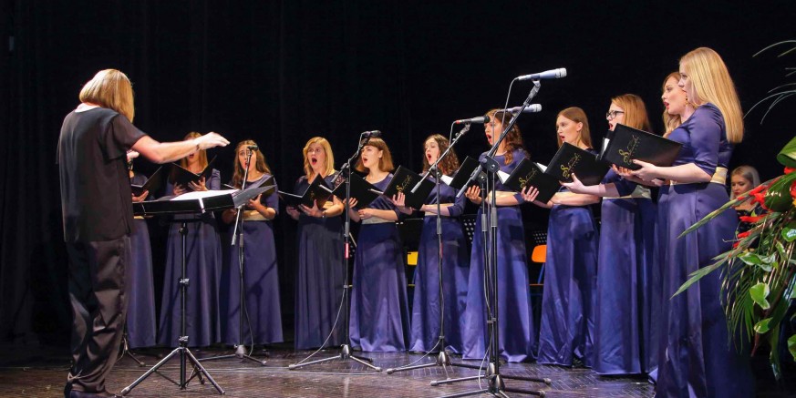 KONCERT Vokalni ansambl Sakcinski i Županijski tamburaški orkestar iz Čakovca oduševili publiku