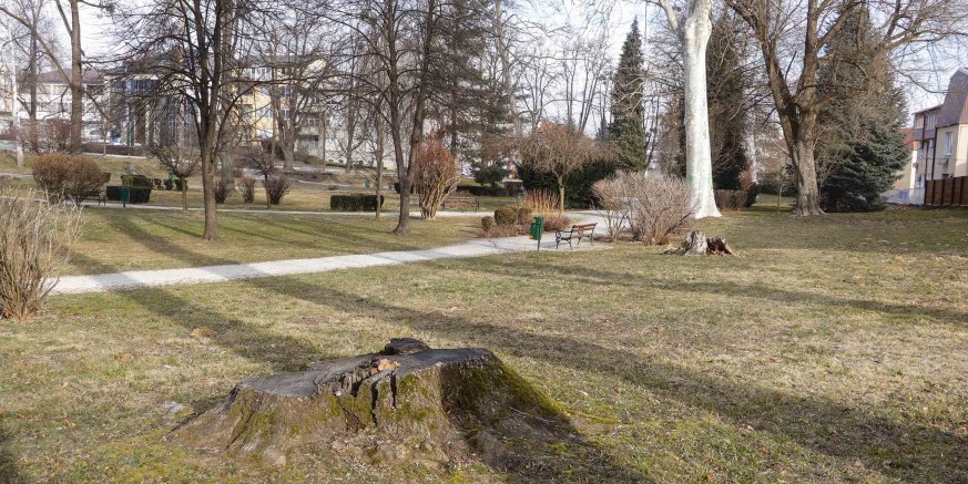 park-240219.jpg