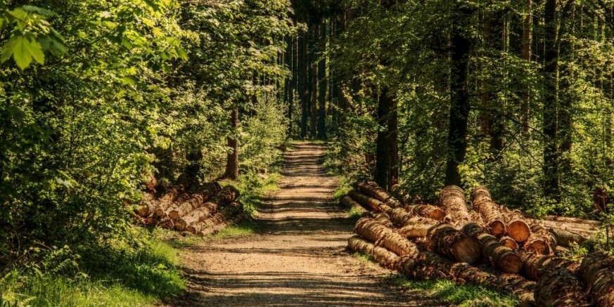 Vlasnici šuma! U HGK Varaždin u četvrtak, 18. 04., radionica za „Ulaganja u šumsku infrastrukturu“