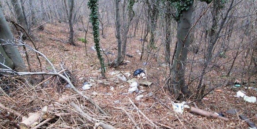 NEODGOVORNO Tko odlaže otpad u šumu uz nerazvrstanu cestu Prigorec – Vitešinec?