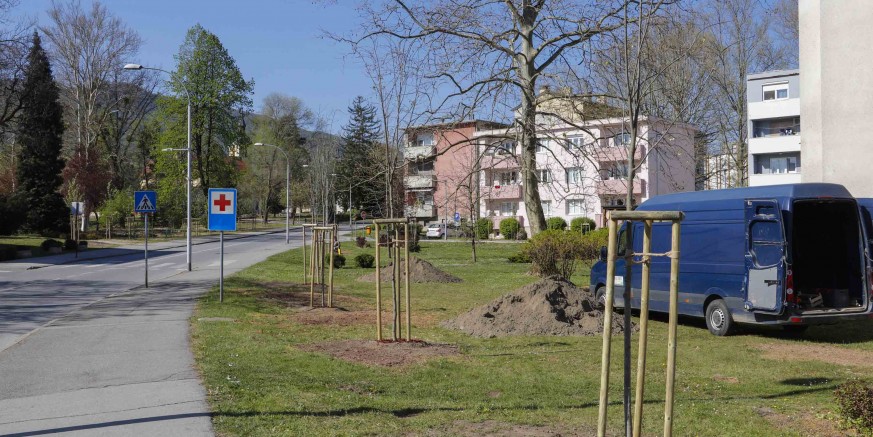 PARKOVI Završeni radovi na revitalizaciji i uređenju drvoreda i parkovnih površina u Ivancu