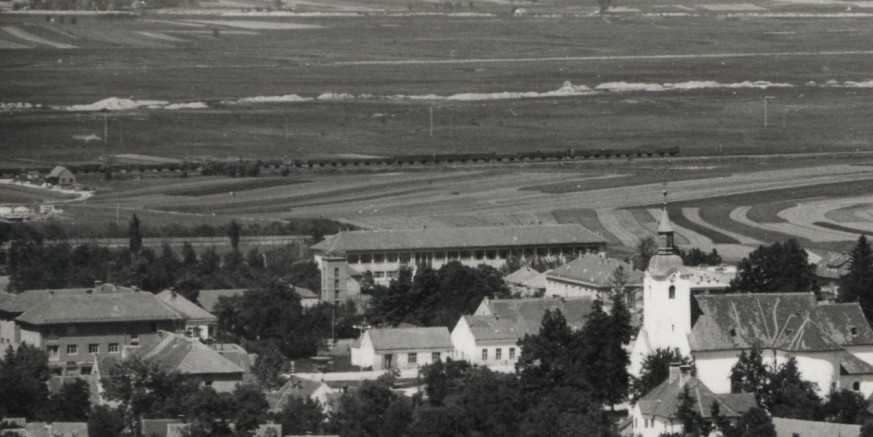 Ivanec s prugom u pozadini  1963 Vinko Šoštar458.jpg