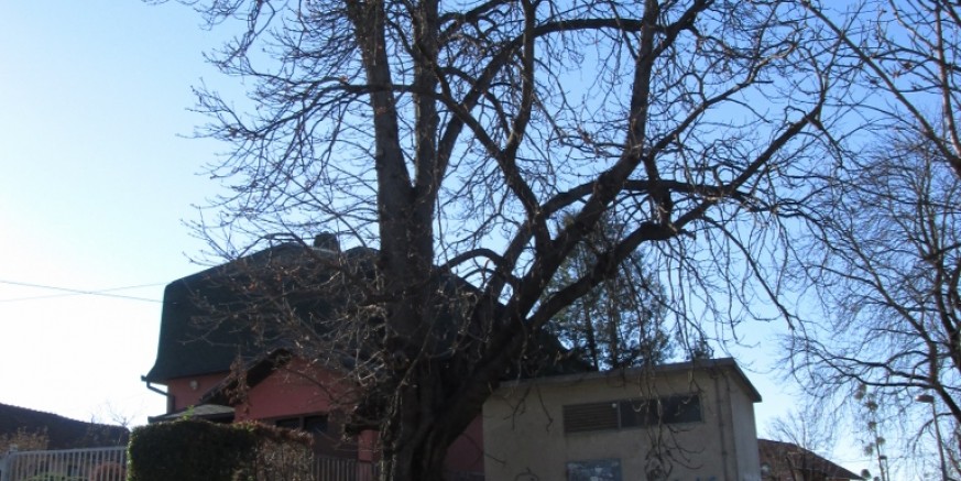 Obavijest Grada Ivanca stanarima Ulice Augusta Šenoe