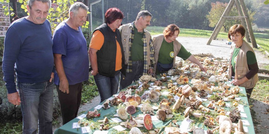 U GRADSKOM PARKU U subotu, 9. 10., izložba gljiva ivanečkih šuma, pas tartufar, gljivarski kotlić, podjela lipa
